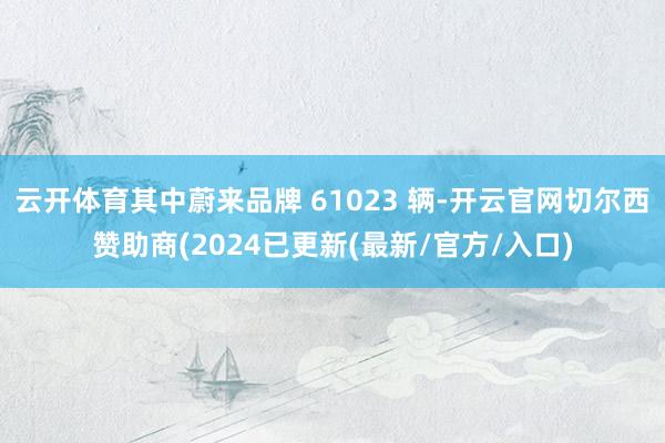 云开体育其中蔚来品牌 61023 辆-开云官网切尔西赞助商(2024已更新(最新/官方/入口)