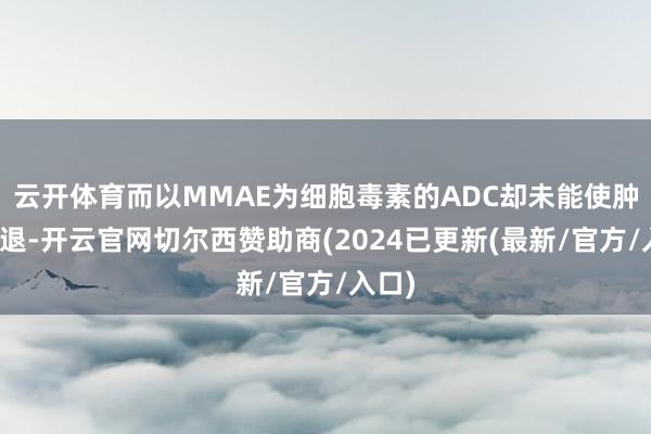 云开体育而以MMAE为细胞毒素的ADC却未能使肿瘤消退-开云官网切尔西赞助商(2024已更新(最新/官方/入口)