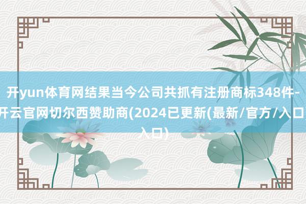 开yun体育网结果当今公司共抓有注册商标348件-开云官网切尔西赞助商(2024已更新(最新/官方/入口)