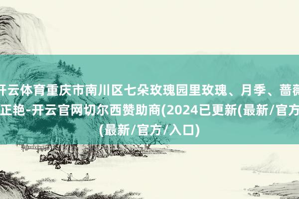 开云体育重庆市南川区七朵玫瑰园里玫瑰、月季、蔷薇等花开正艳-开云官网切尔西赞助商(2024已更新(最新/官方/入口)