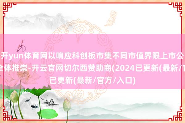 开yun体育网以响应科创板市集不同市值界限上市公司证券的全体推崇-开云官网切尔西赞助商(2024已更新(最新/官方/入口)