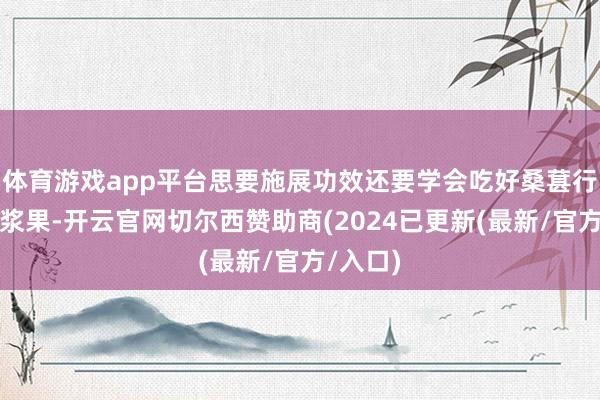 体育游戏app平台思要施展功效还要学会吃好桑葚行为时令浆果-开云官网切尔西赞助商(2024已更新(最新/官方/入口)